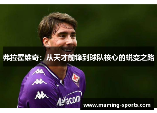 弗拉霍维奇：从天才前锋到球队核心的蜕变之路